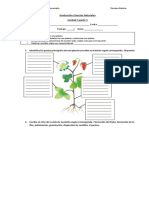 Evaluación Ciencias Naturales Unidad 3 Parte 1