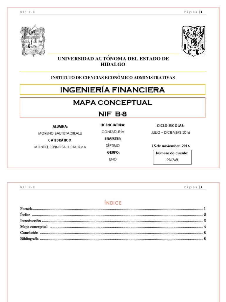 Mapa Conceptual Nif B8 Consolidación (Negocios
