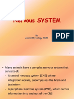 Nervous SYSTEM: by Animal Physiology Staff