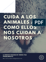 Canva Cuida a Los Animales