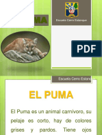 El Puma