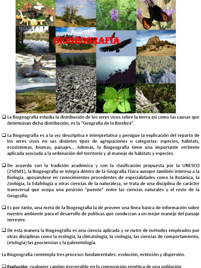 Ejemplos De Biogeografía ¿Qué Son Las REGIONES BIOGEOGRÁFICAS?