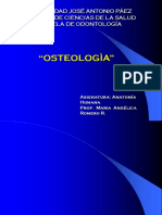 2 Osteologia