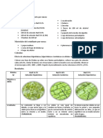 Informe 4 de Biologia