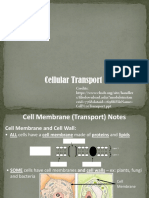 Group 5 Cellular Transport Mechanism