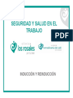 Seguridad y Salud en El Trabajo PDF