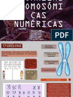 Anomalías Cromosómicas Numéricas