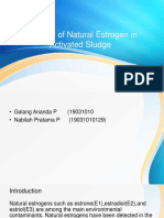 Behavior of Natural Estrogens in Activated Sludge Treatment