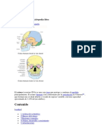 Anatomia del craneo, musculos, articulaciones.pdf
