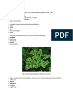 Contoh Soal Bab Plantae