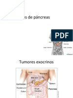 Pancrea 1