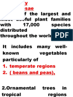 Is One of The Largest and Most Useful Plant Families With 17,000 Species Distributed Almost Throughout The World