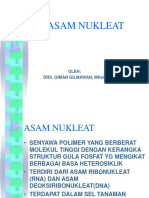 Asam Nukleat (Kimia Organik)