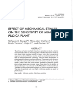 Effect of Mechanical Stimuli On The Sensitivity of Mimosa Pudica