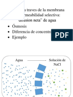 Osmosis A Traves de La Membrana Con Permeabilidad Selectiva