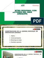 Metodología Taller SNIA Arequipa.pptx