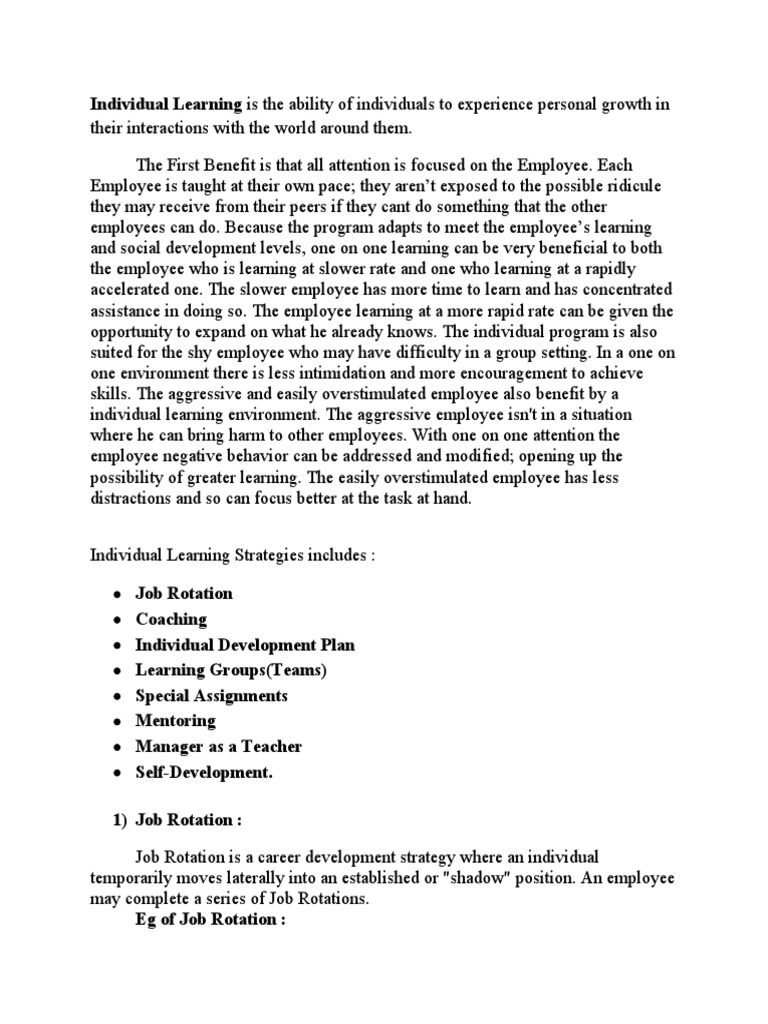 Individual Learning Strategies | PDF | Mentorship | Learning
