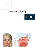 Anatomi Hidung Dan Penyakit Hidung