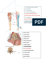 Latihan Responsi Praktikum Penunjukan Gambar-Neuro