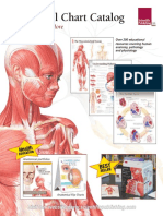 Anatomical Chart Catalog: Charts, Books & More
