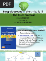Blue Protocol | PDF | Lung | Medical Ultrasound