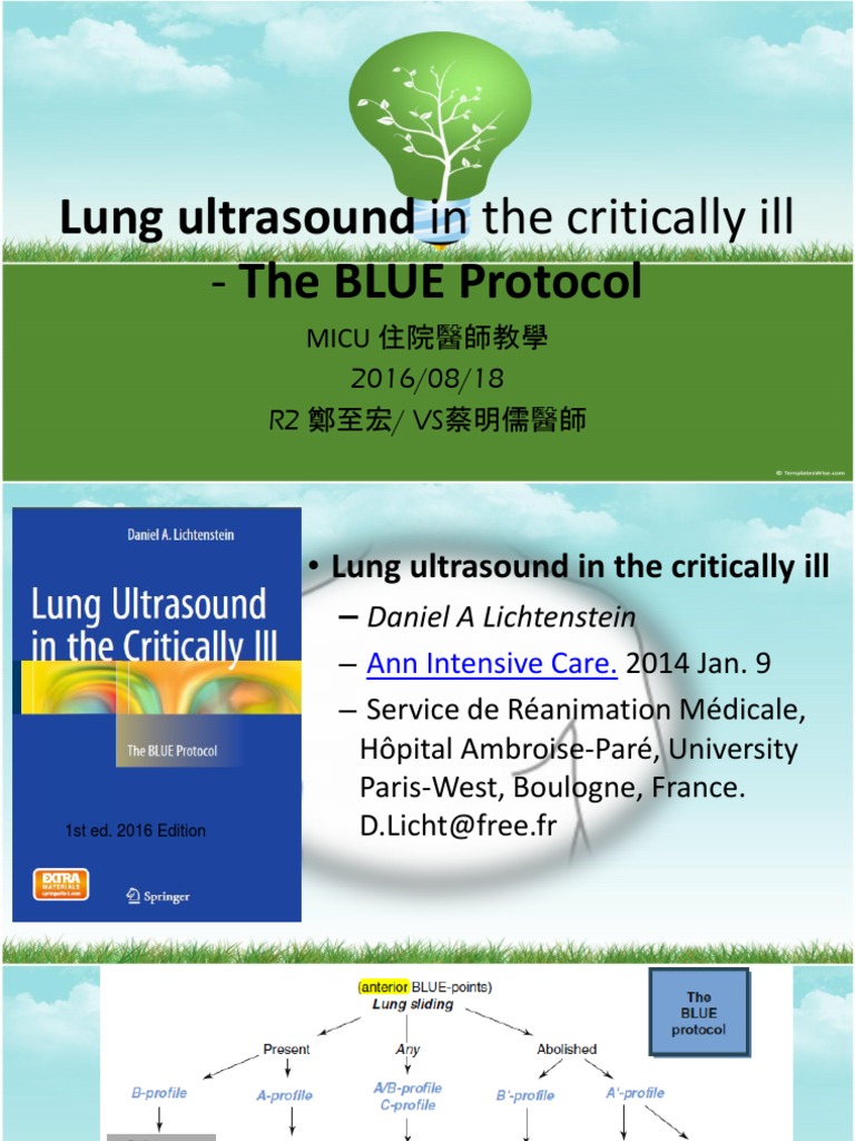 Lung Ultrasound in The Critically Ill | PDF | Lung | Intensive Care ...