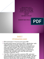 PP_PDA.pptx