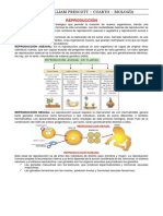 tipos de reproducción 
