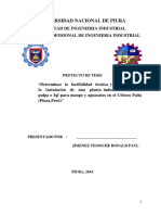 UNIVERSIDAD_NACIONAL_DE_PIURA_FACULTAD_D.pdf