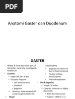 Anatomi Gaster Dan Duodenum