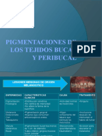 Pigmentaciones de Los Tejidos Bucal y Peribucal