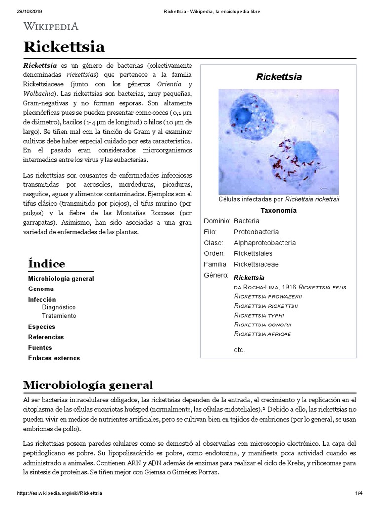 Rickettsia - Wikipedia, La Enciclopedia Libre | PDF | Microbiología ...