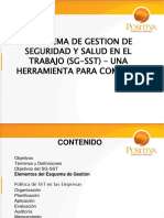 PRESENTACION SG-SST POSITIVA 14 de Agosto 2013 PDF