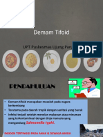 Demam Tifoid