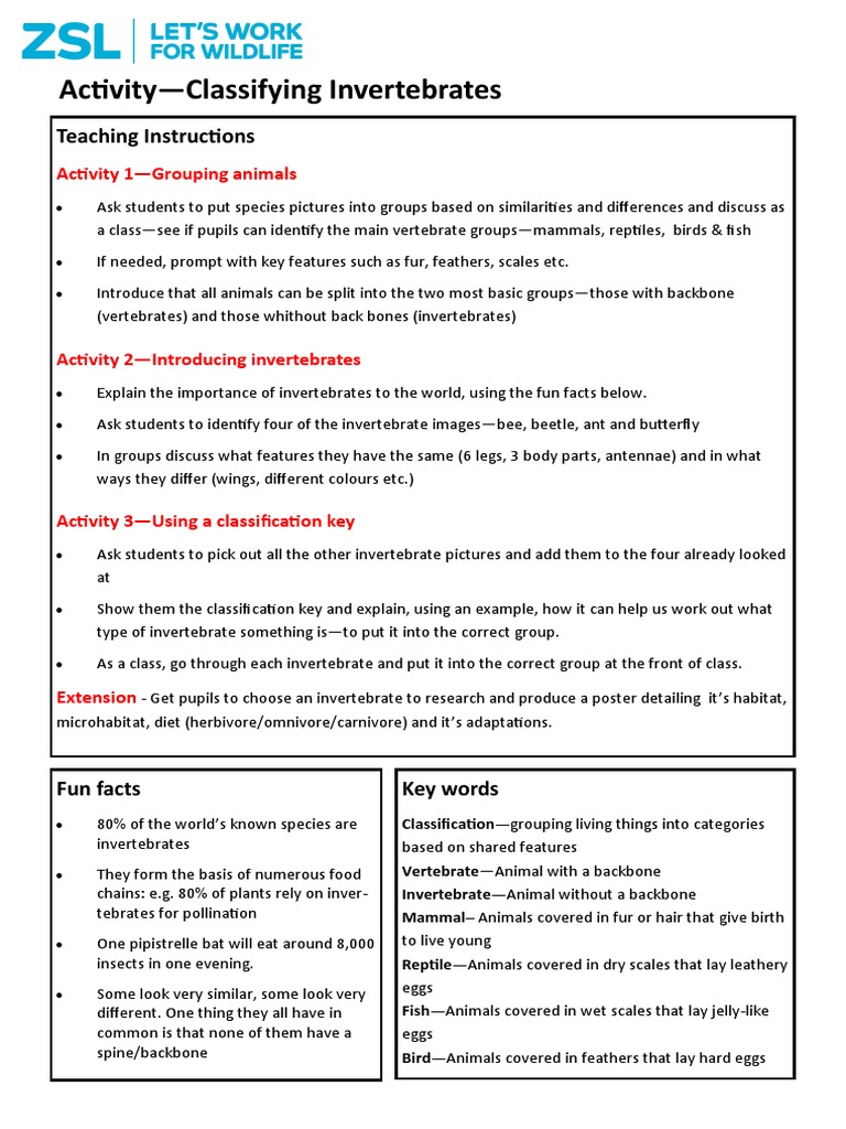 KS2 Activity at School Classification of Invertebrates | PDF