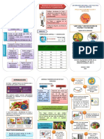 Triptico Limpieza y Desinf de Verduras Original PDF