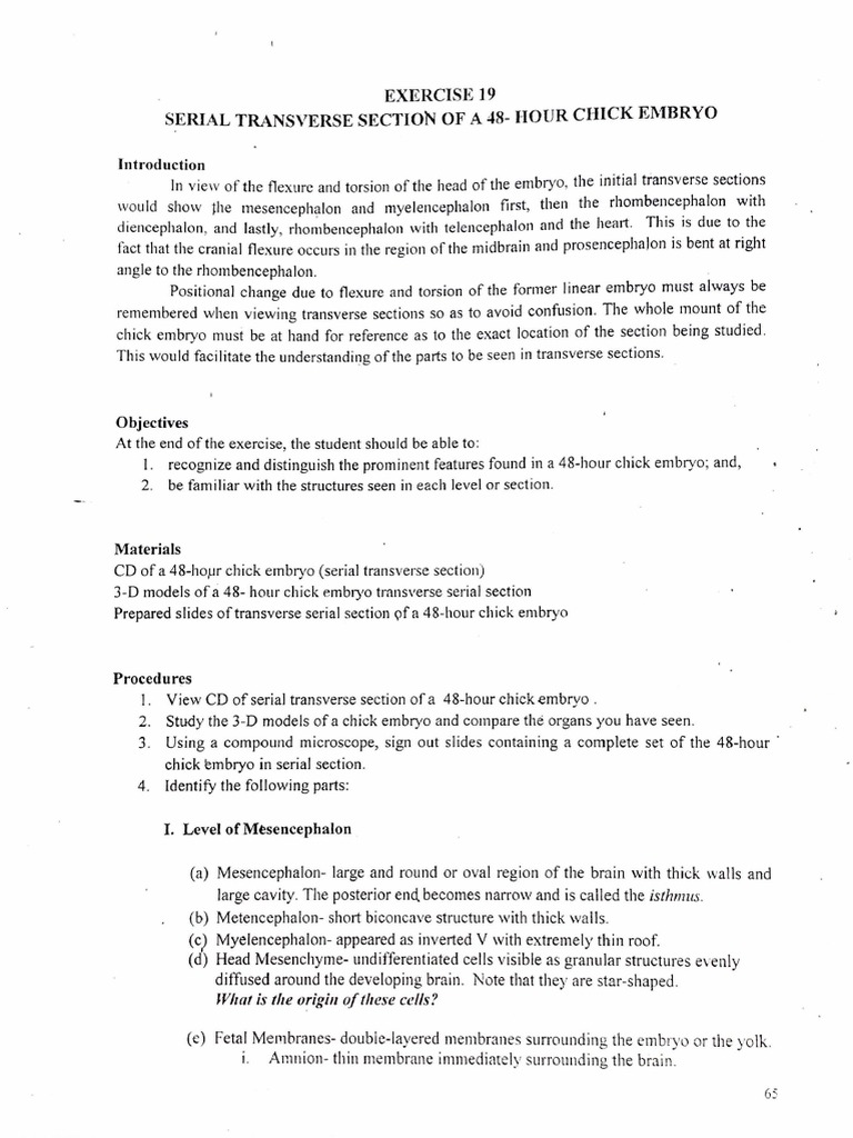 Exercise 19 Serial Transverse Section of A 48 Hour Chick Embryo PDF ...