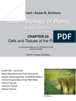 Raven Biology of Plants: Eighth Edition