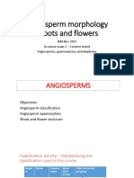 Angiosperm Shoot and Flower Morphology