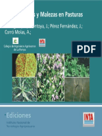 Período crítico de competencia y umbral de daño económico en pasturas