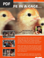 Download SAFE leaflet Freedom for hens Her life in a cage by safe_newzealand SN43242242 doc pdf