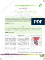 CME-Perkembangan Terapi Kanker Prostat