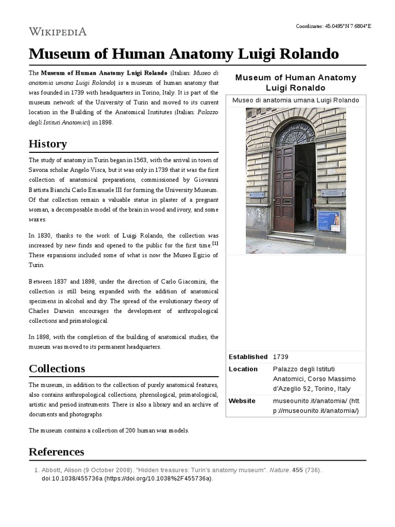 Museum of Human Anatomy Luigi Rolando | PDF | Museum