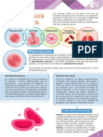 M14_S3_Procesos_vitales.pdf