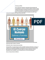 El Cuerpo Humano: Sistemas y Funciones para Niños