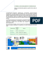 Ciclo Biogeoquimico 2