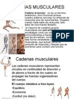 Cadenas Musculares PDF