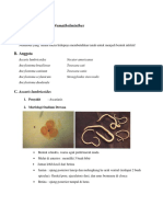 SOIL TRANSMITTED NEMATHELMINTHES