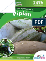 Recomendaciones Produccion Pipian 2018