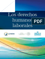 Derechos Humanos Laborales PDF